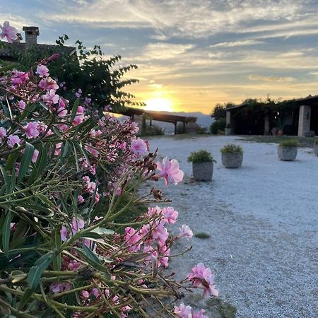 Agriturismo Villa Rosetta San Severino Marche Exterior photo